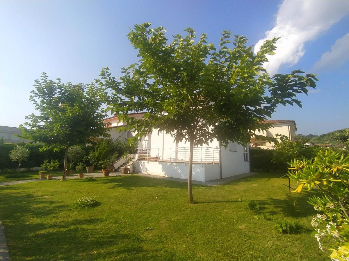 B&B Villa La Bouganville Camaiore Exterior foto
